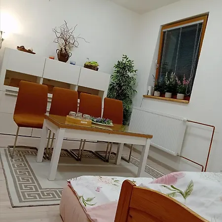 Apartman Viktoria Petrov nad Desnou