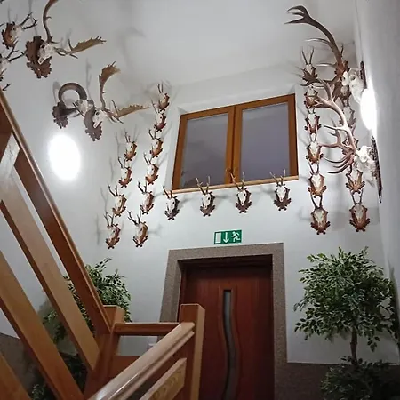Apartman Viktoria Apartment