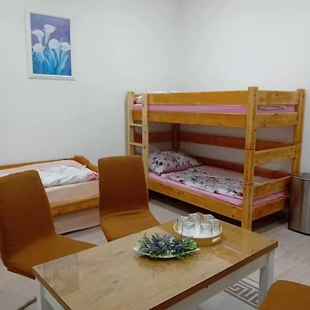 Apartman Viktoria Petrov nad Desnou