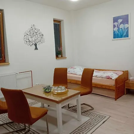 Apartman Viktoria Petrov nad Desnou