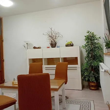 Apartment Apartman Viktoria Petrov nad Desnou