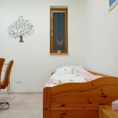 Apartman Viktoria Apartment Petrov nad Desnou