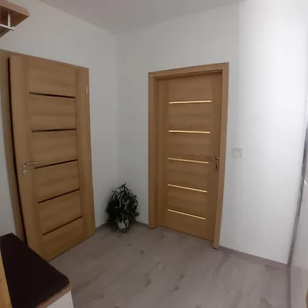 Apartman Viktoria Apartment