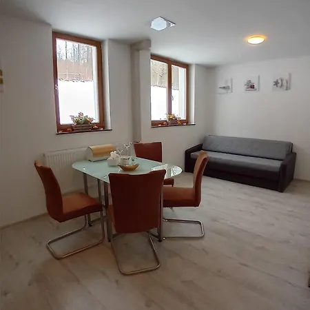 Apartman Viktoria Petrov nad Desnou